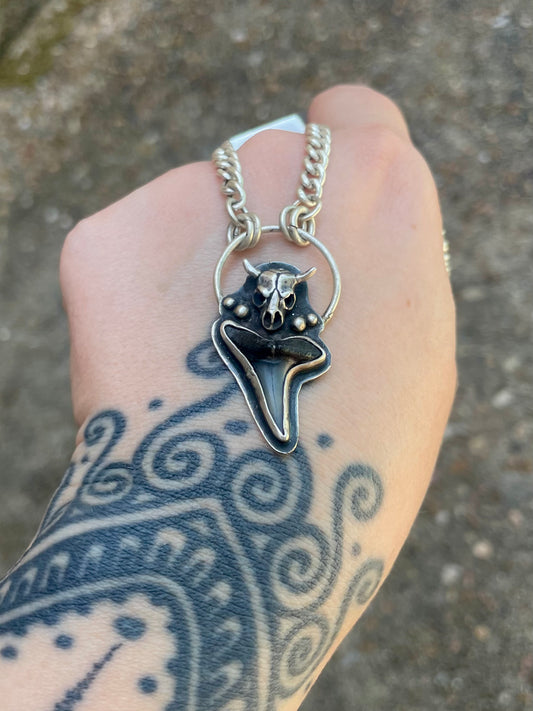 Bull shark necklace